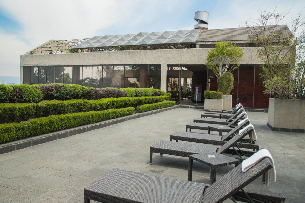 Sevilla Palace Meksika Dış mekan fotoğraf
